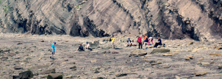 Joggins Fossil Cliffs