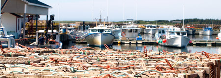 Lobster Traps at Red Head Harbour