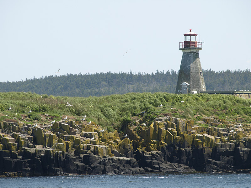 Peter's-Island-Lighthouse-taken-from-Brier-island