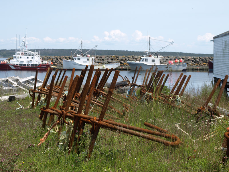 anchors-beside-the-fishing-wharf-Briers-Island