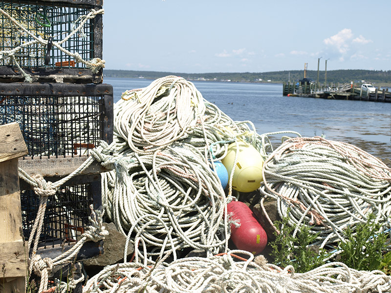 fishing-nets-and-traps
