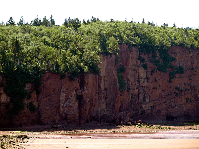 large-cliffs-of-Spicers-Cove