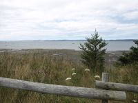 St-Marys-Bay-and-beach-Savary-Park-Nova-Scotia