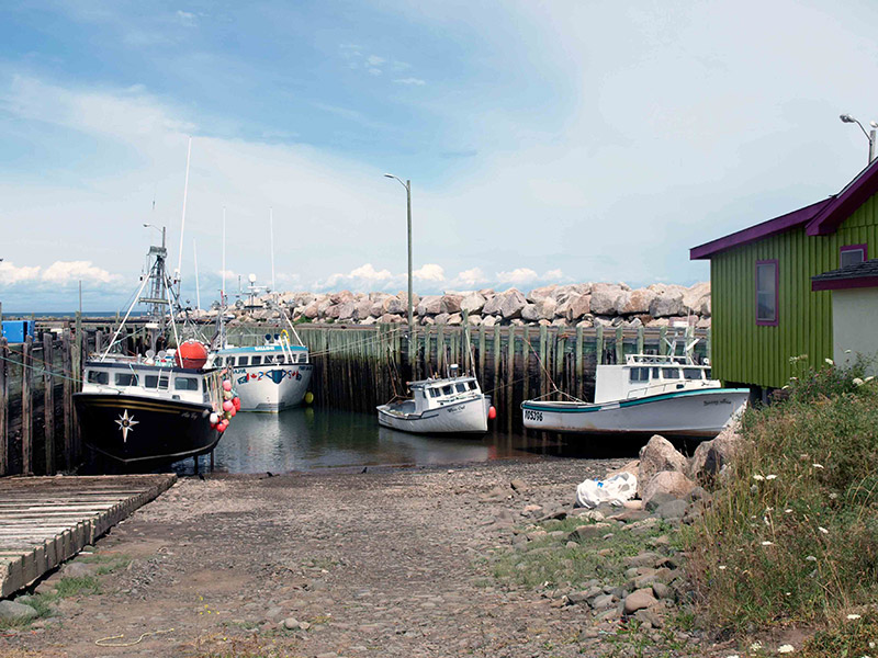 more-fishing-boats-at-low-tide-Parkers-cove