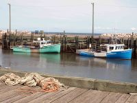 fishing-boats-in-Hampton-harbour-at-low-tide