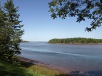 view-of-the-river-from-the-trail-in-Tatamagouche