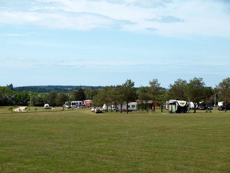 big-field-Bayside-RV-campground